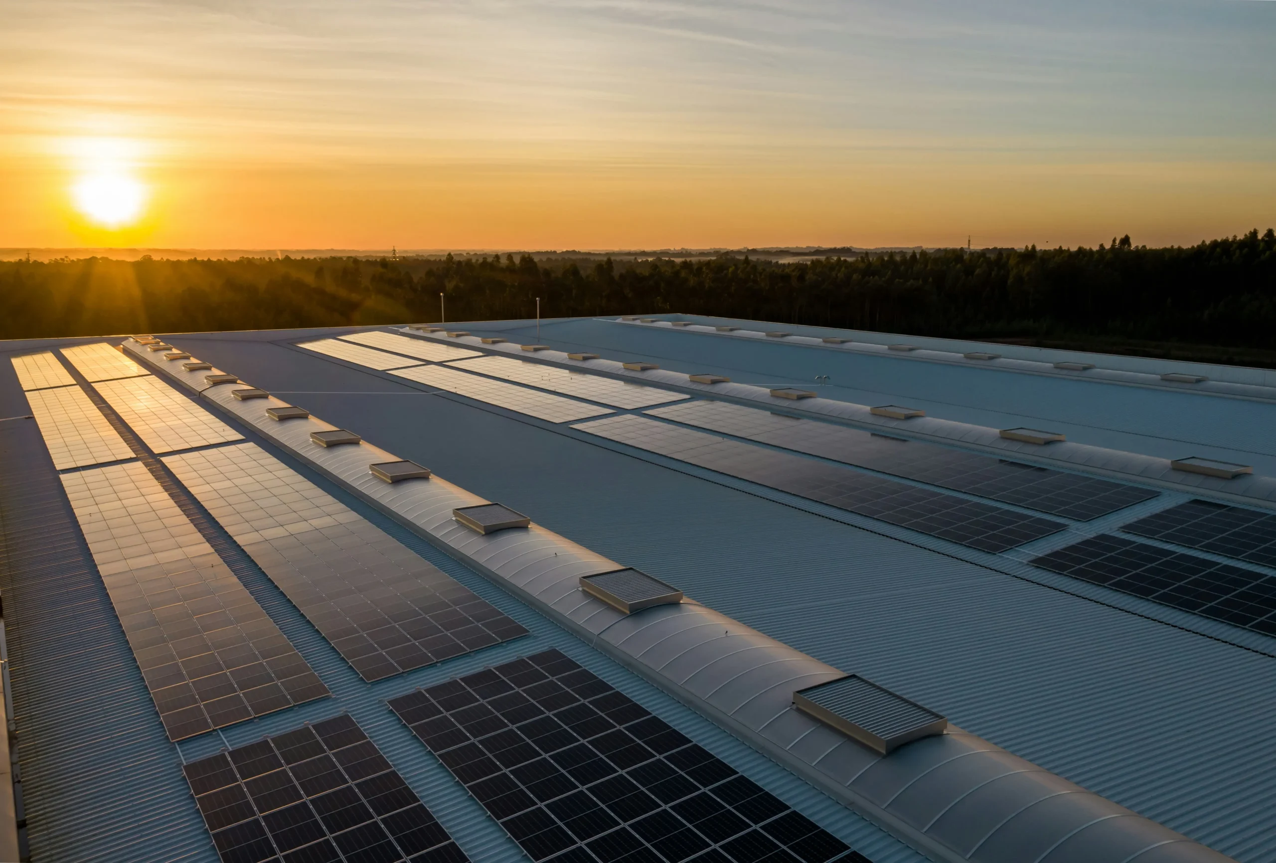 Large-scale solar farm